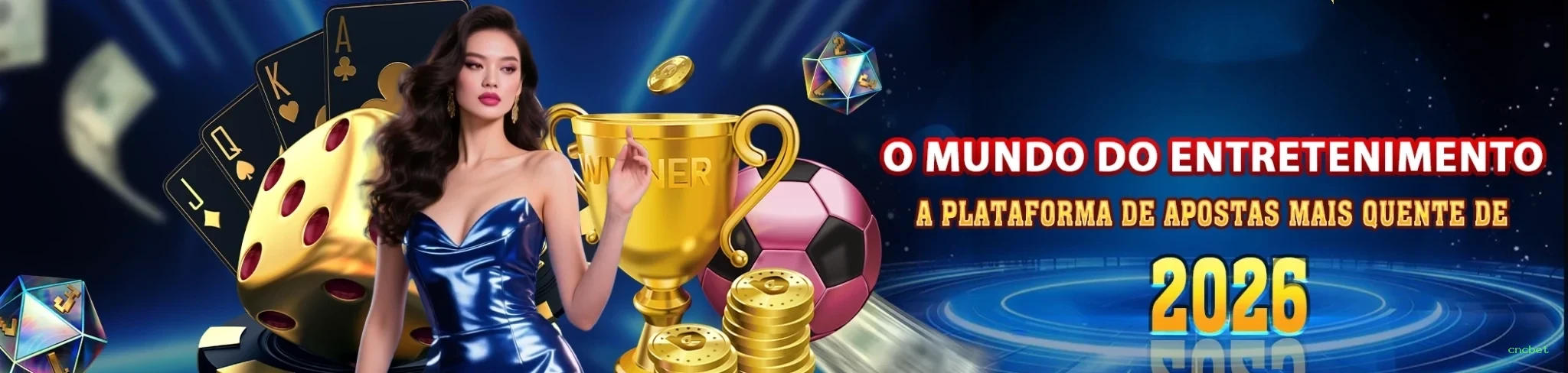 Guias de instalação da cncbet